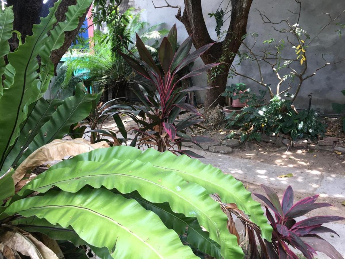 Mazz Homestay Negombo Exterior photo